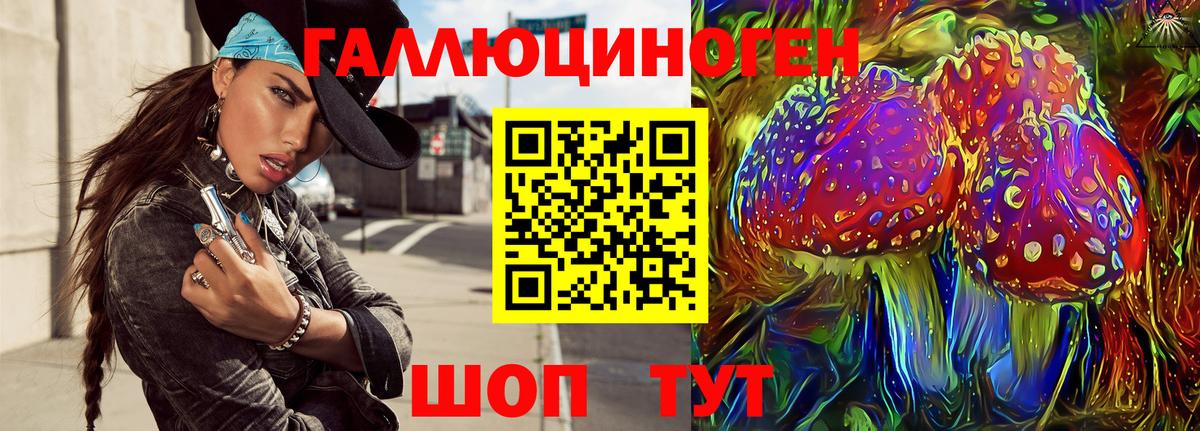 Псилоцибиновые грибы Cubensis Белая Калитва